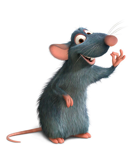 Image result for Remy the rat