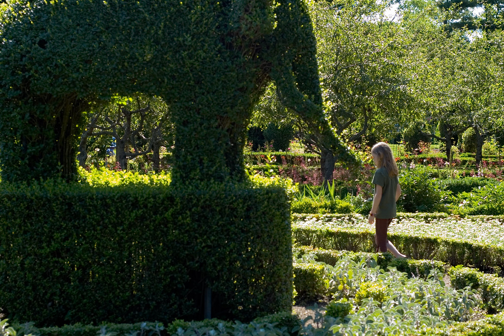 An Elephant And Amy At The Green Animals Topiary Garden Flickr