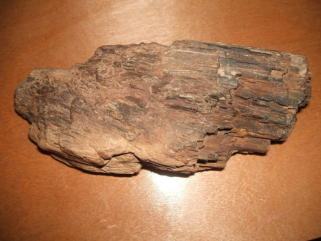 zkamenělé dřevo