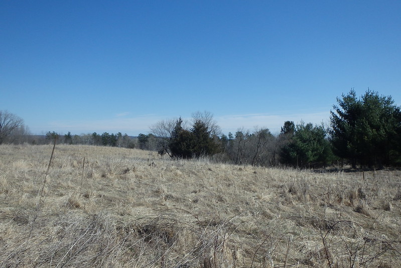 the high point of the park, a brown grassy area with pines in the distance