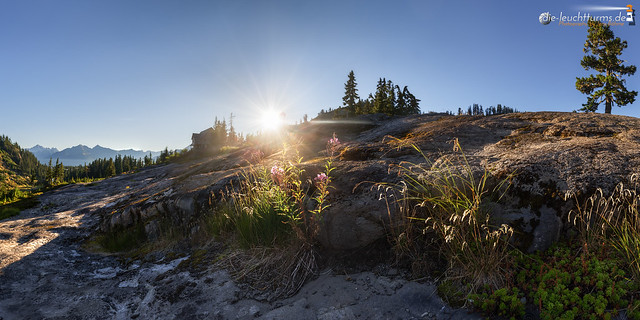 Heather Meadows with rising sun