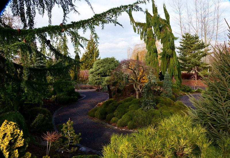 The Oregon Garden, Silverton, OR