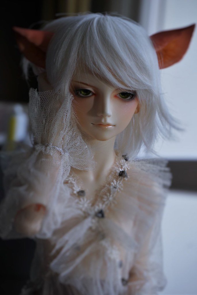 White fox