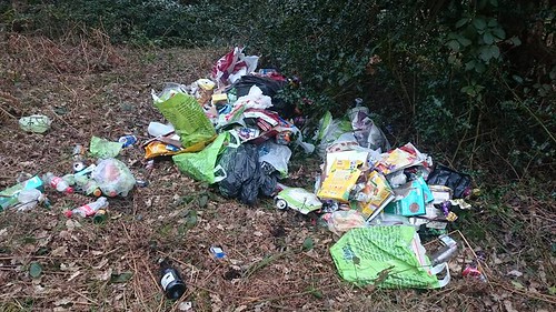 fly tipping Kindreds Wood Apr 16 1