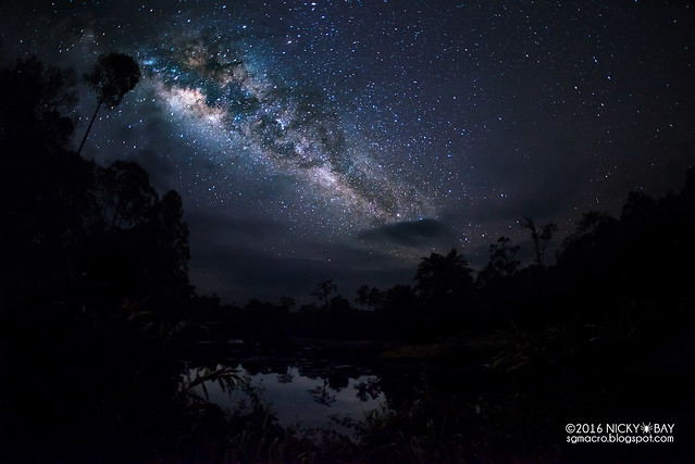 Maliau Basin Milky Way - DSC_0249