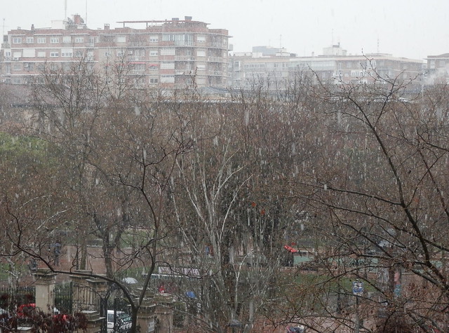 Nieva en Zaragoza copia