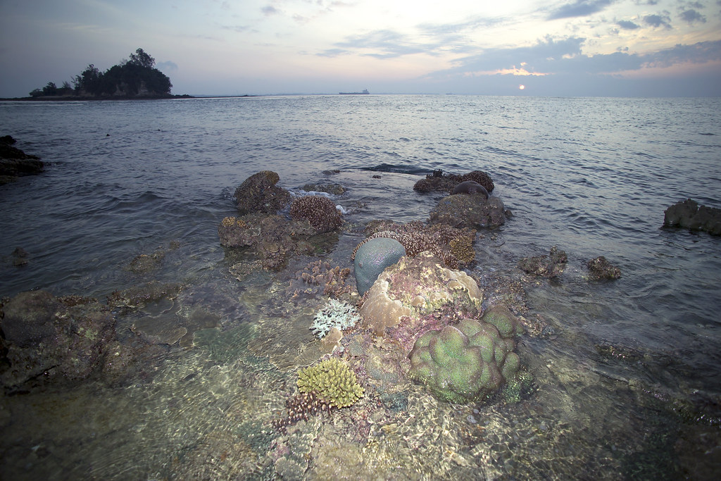Pristine Reefs of Raffles Lighthouse
