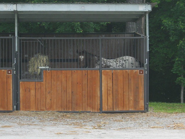 Equestrian Stalls provide comfort and a safe place to rest at Occoneechee State Park in Virginia