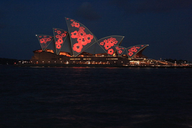 Poppies on the Opera House