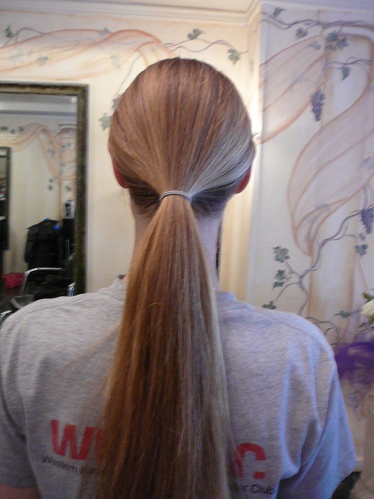 ponytail before cut | erinshair | Flickr