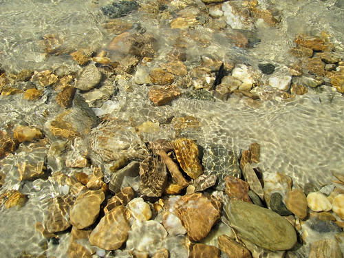 Stream closeups at Tyrico Bay