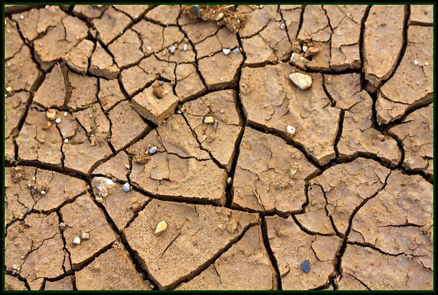 The photograph "Fissures" by thephotographymuse shows a surface of mud cracked by fissures throughout.