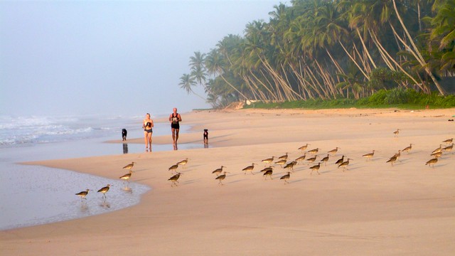 Morning run, Koggala Sri Lanka