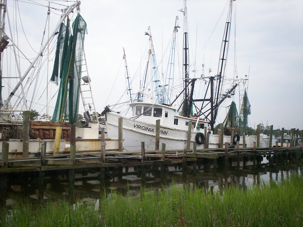 Wooden Shrimp Boats | Old wooden shrimp boats, Georgetown, S ...