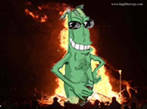 Image result for burning cucumber