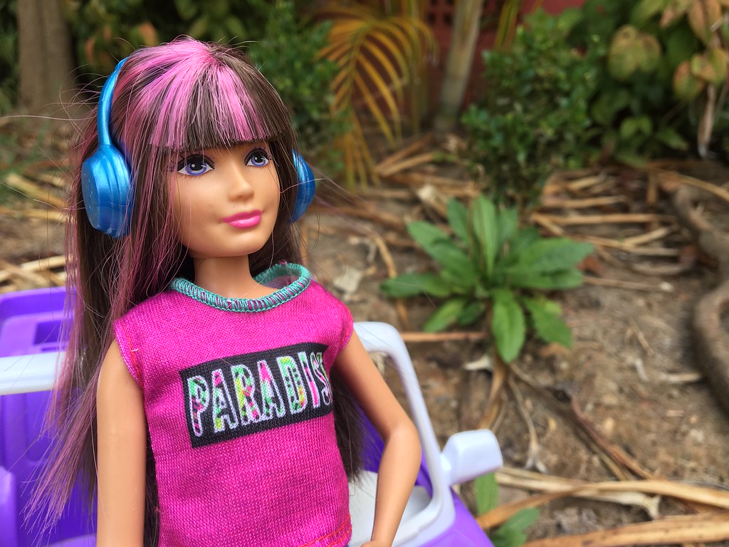 Introducing Puppy Chase Stacie – Adventures in Barbie Collecting