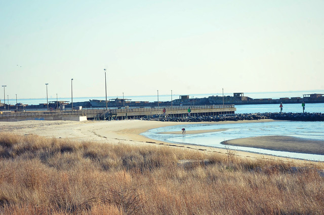 Two beaches and a fishing pier make Kiptopeke State Park a great destination in Virginia