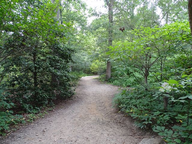 Arboretum Hiking Trails ~ From My Carolina Home