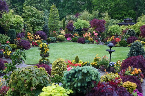 Lush May | English garden for all seasons. Winner Daily ...