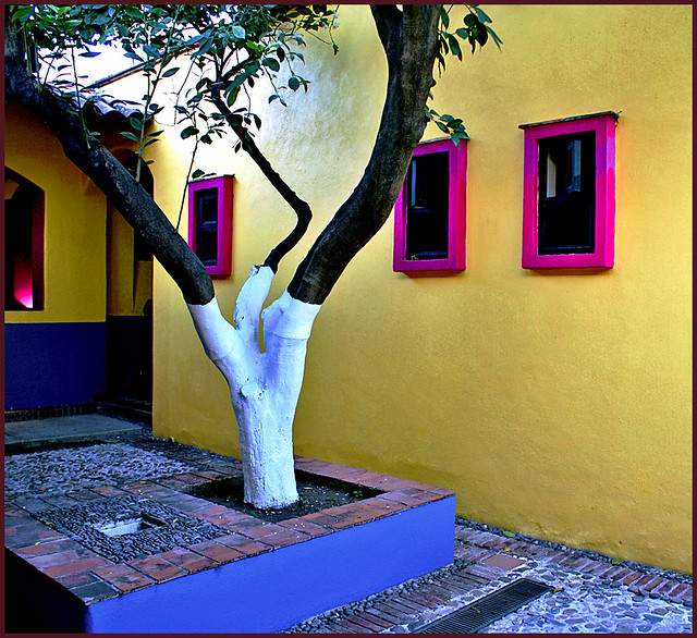 patio contemporáneo | mexican contemporary architecture - a … | Flickr