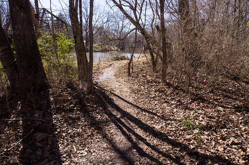Lawson's Creek trail - 1