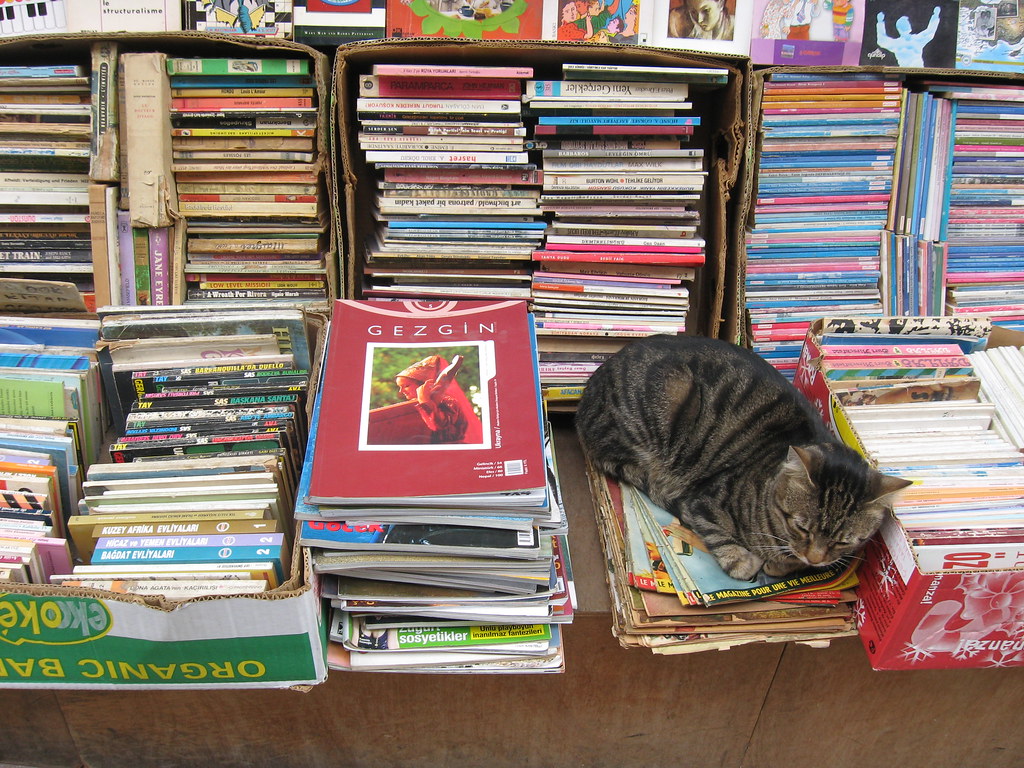Find books like. Envai Istanbul books. Pet book. Chernookii m.s. books. XI Jinpung's books.