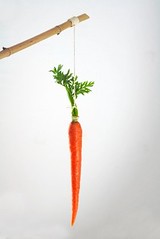 A carrot dangling from a stick.