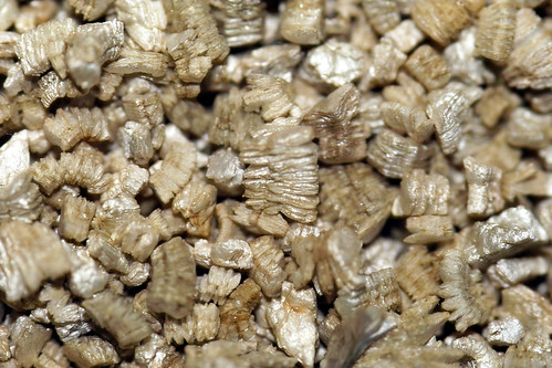βερμικουλίτης vermiculite, παχύφυτα, υπόστρωμα, φυτοκομία, βοτανική