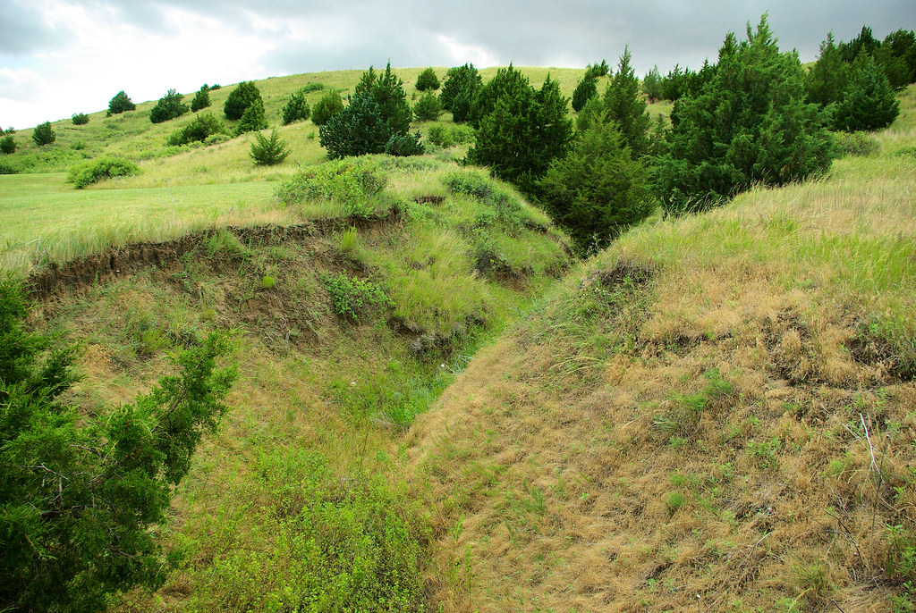 This ravine on Windlass Hill eroded from the trace left by Oregon/California trail traffic. Ash Hollow State Historical Park, Nebraska