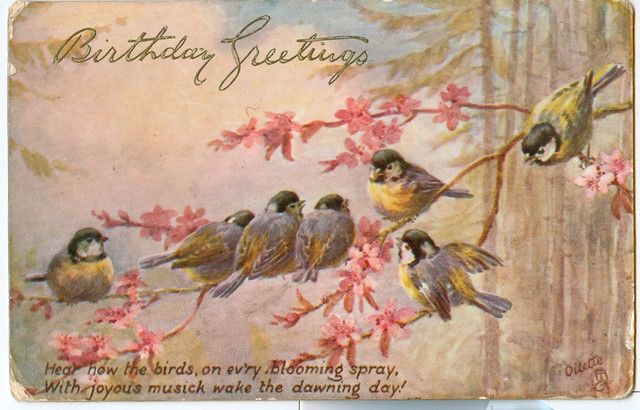 "Birds and Blossoms" Birthday Postcard 1911  A "Birds and 