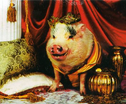 Image result for royal pig
