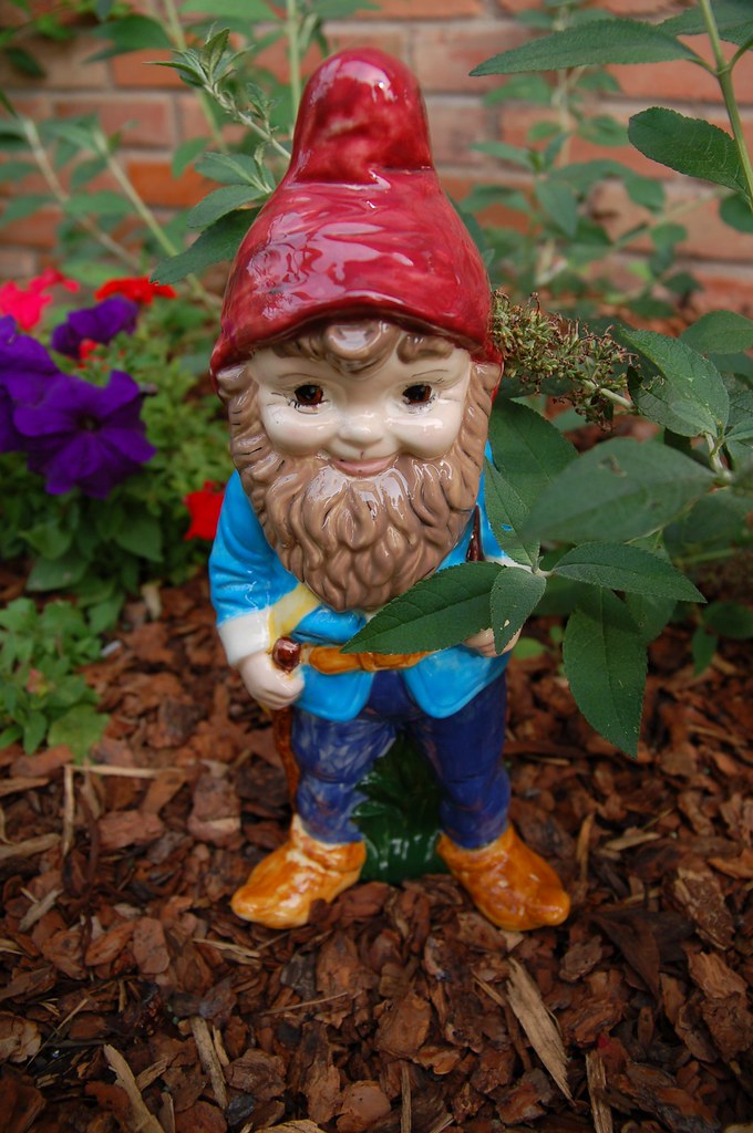 Garden Gnome | This little guy was sitting on our doorstep o… | Flickr