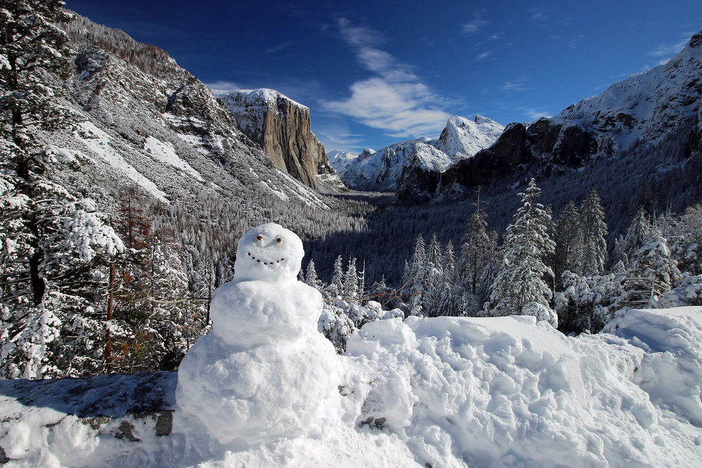 Image result for snowman yosemite
