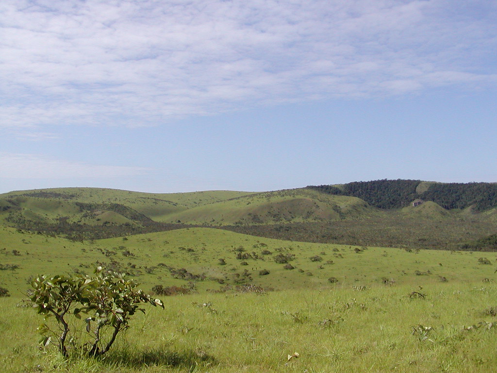 Image result for Bateke Plateau