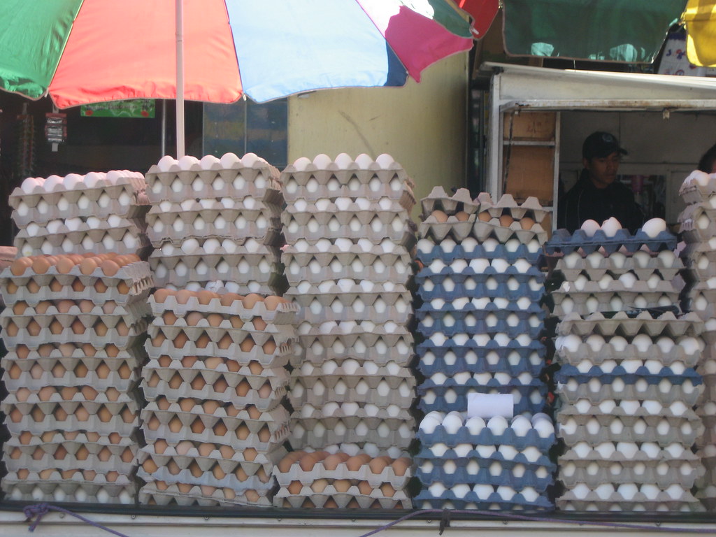 Deposito de Huevos | There are so many eggs in Guatemala ...