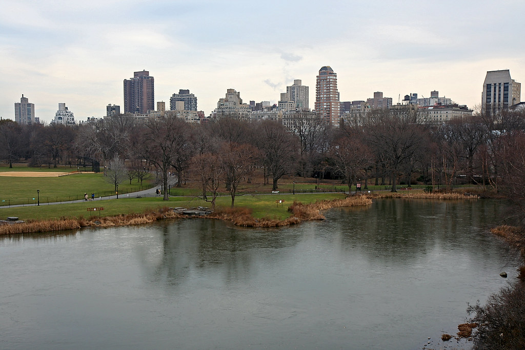 View from Belvedere Castle - Central Park | Central Park - N… | Flickr