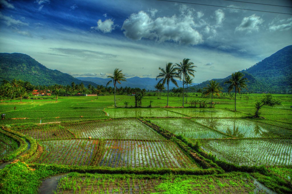 Indonesia - Java - Landscapes and Vistas - On the Train (K… | Flickr