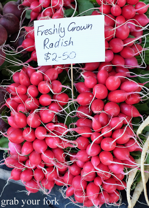 Bunches of radishes at the Salamanca Market in Hobart