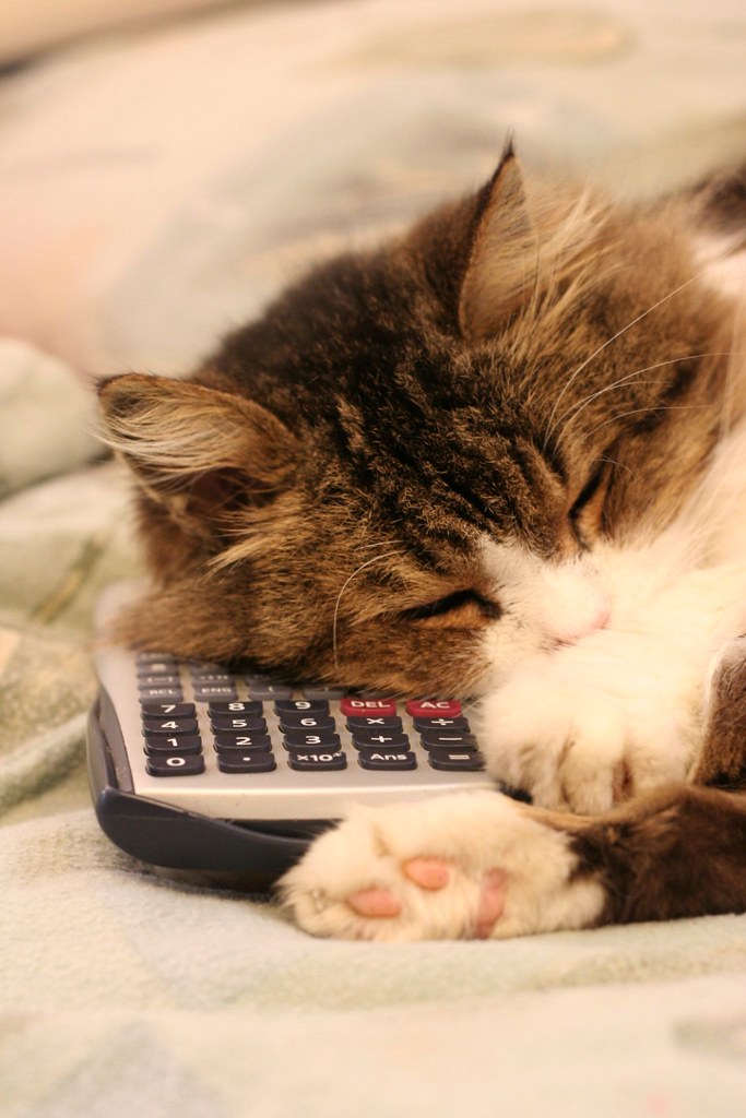 Cat and Calculator I had a talk with my Cat, Tula, about s… Flickr