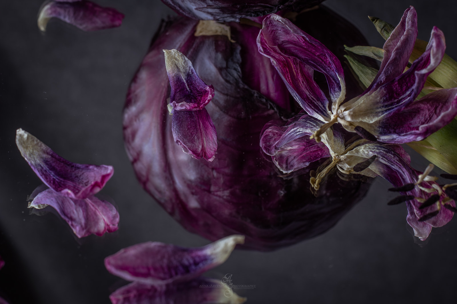 Punakaalia & kuivuneita tulppaanin terälehtiä / Red cabbage & dried tulip petals