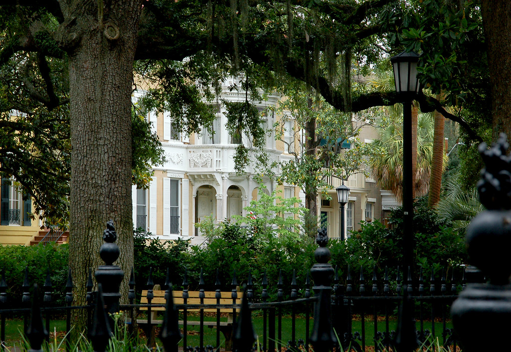 Historic Home and a Savannah Square | Savannah, Georgia | Curious