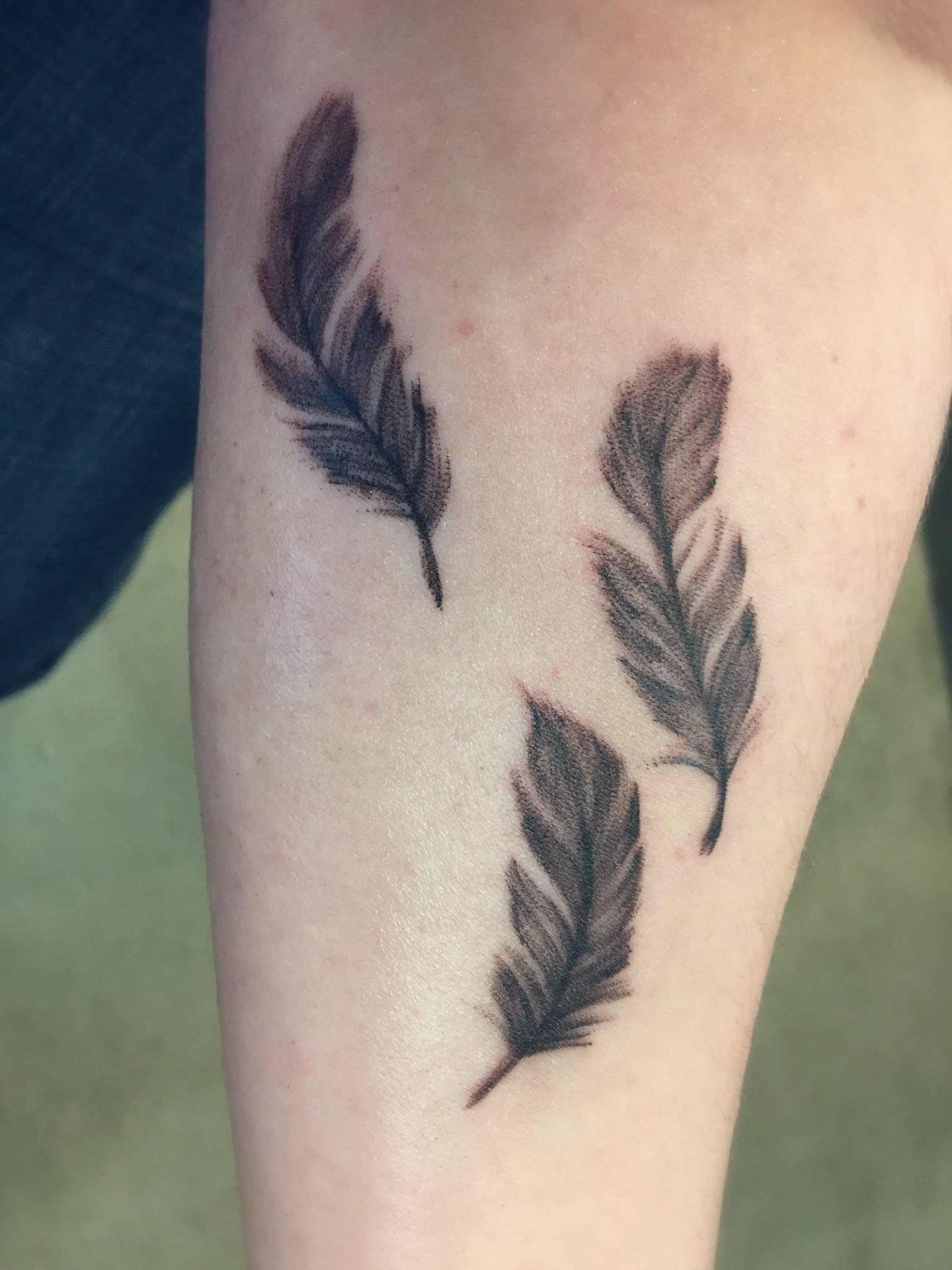 Feather Tattoo | Talk Budgies Forums