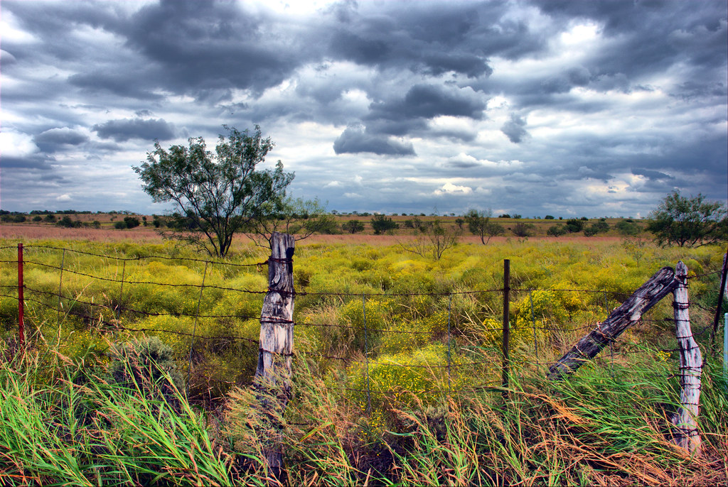 Verdant Texas Landscape Colorful Field Fence Wire | See ...