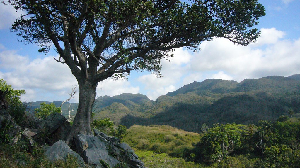 Sierra del Escambray, Guanayara National Park