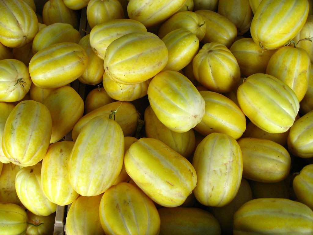 Cucumis melo cultivar | There's a lot about this melon onlin… | Flickr