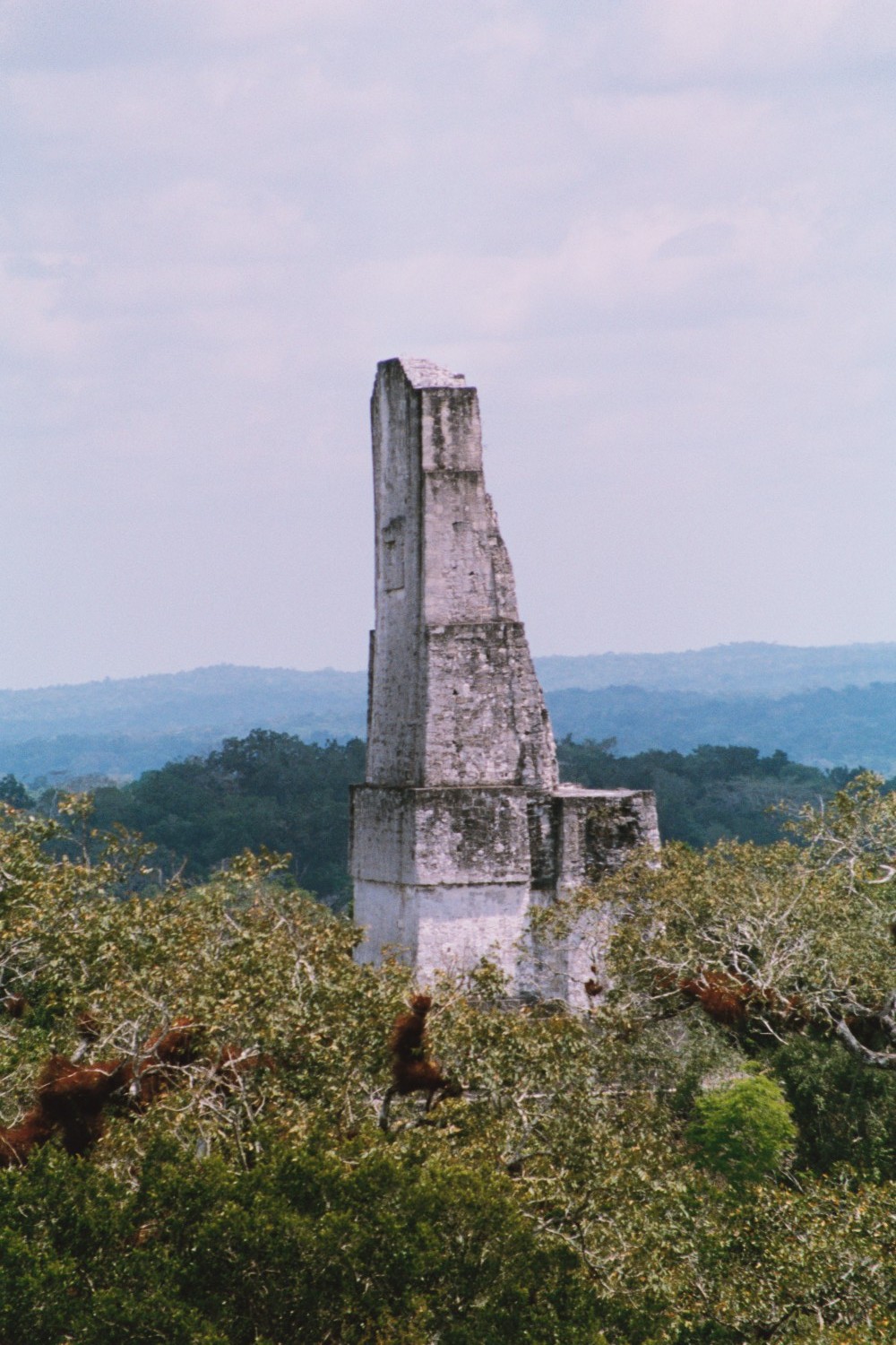Tikal. Guatemala