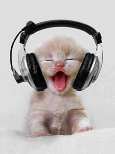 Image result for cat ear headphones