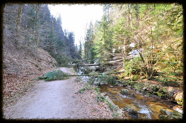 FREUDENSTADT, ALLERHEILIGEN, GENGENBACH Y OBERKIRCH - La Selva Negra en 7 días: 1357 km de contrastes (5)