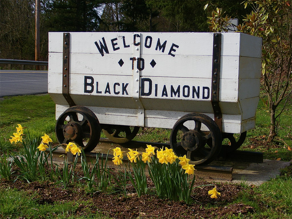 We Buy Houses Black Diamond, Washington