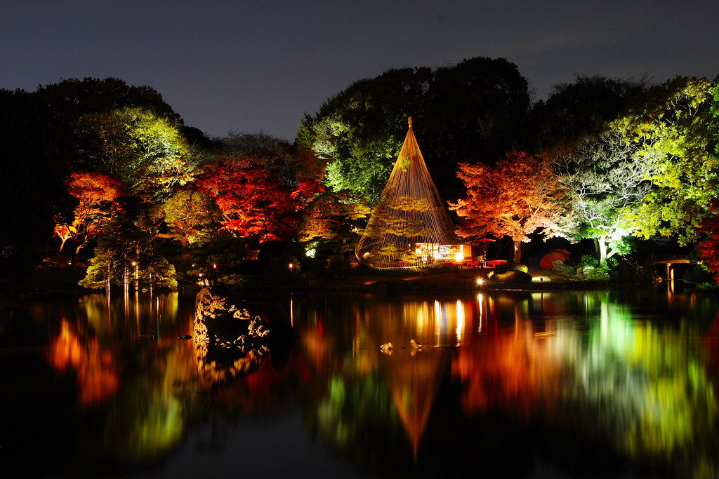 Japanese garden at night (wide angle version) | Rikugi-en ...
